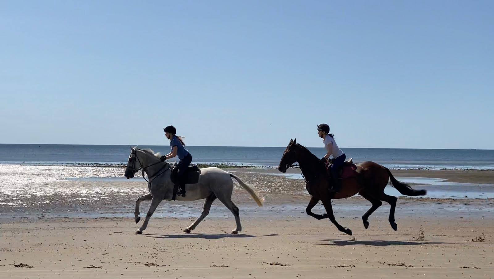 horse riders on beach